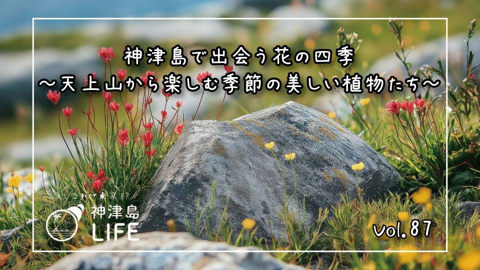 神津島で出会う花の四季 ～天上山から楽しむ季節の美しい植物たち