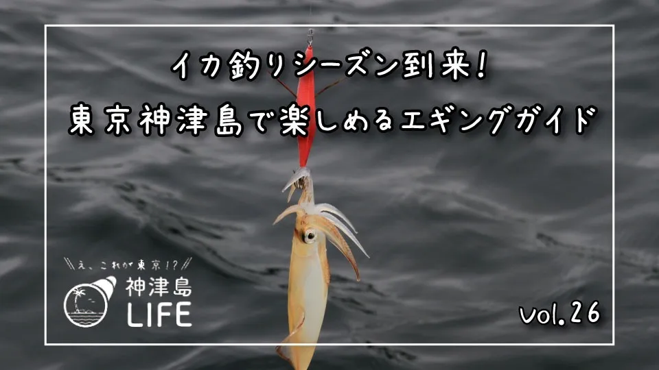 「イカ釣りシーズン到来！ 東京神津島で楽しめるエギングガイド」