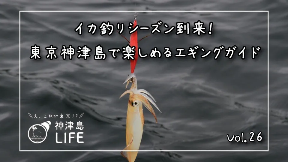 イカ釣りシーズン到来！ 東京神津島で楽しめるエギングガイド | 神津島