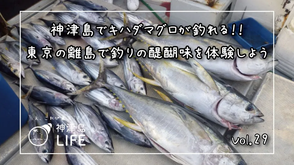 「神津島でキハダマグロが釣れる‼東京の離島で釣りの醍醐味を体験しよう」