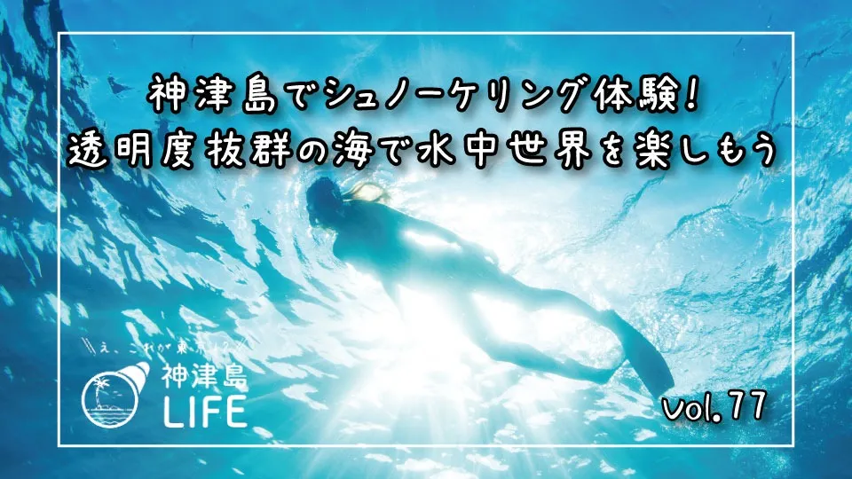 「神津島でシュノーケリング体験！透明度抜群の海で水中世界を楽しもう」