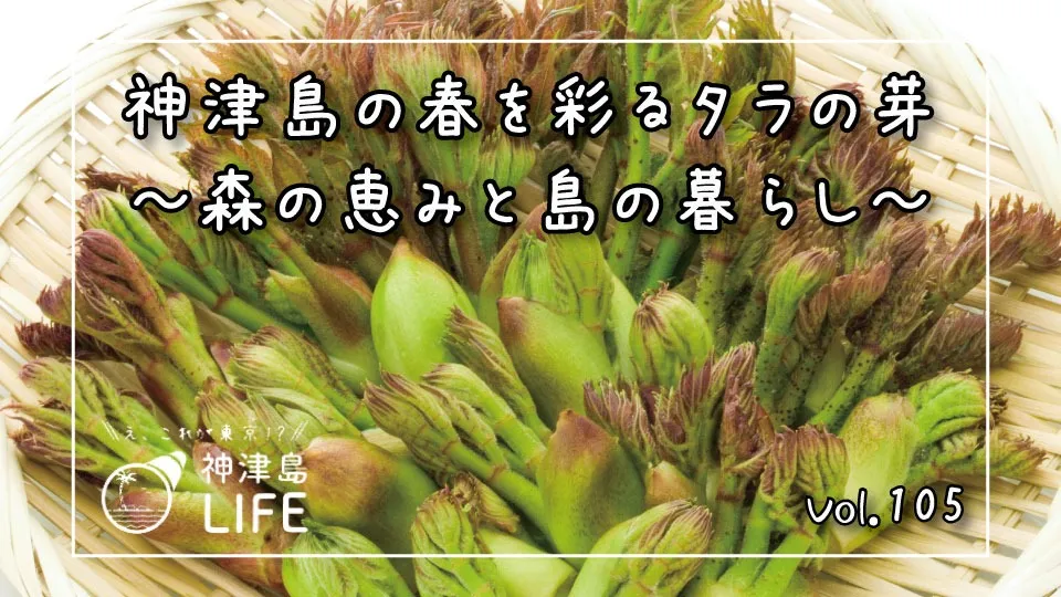 「神津島の春を彩るタラの芽～森の恵みと島の暮らし～」